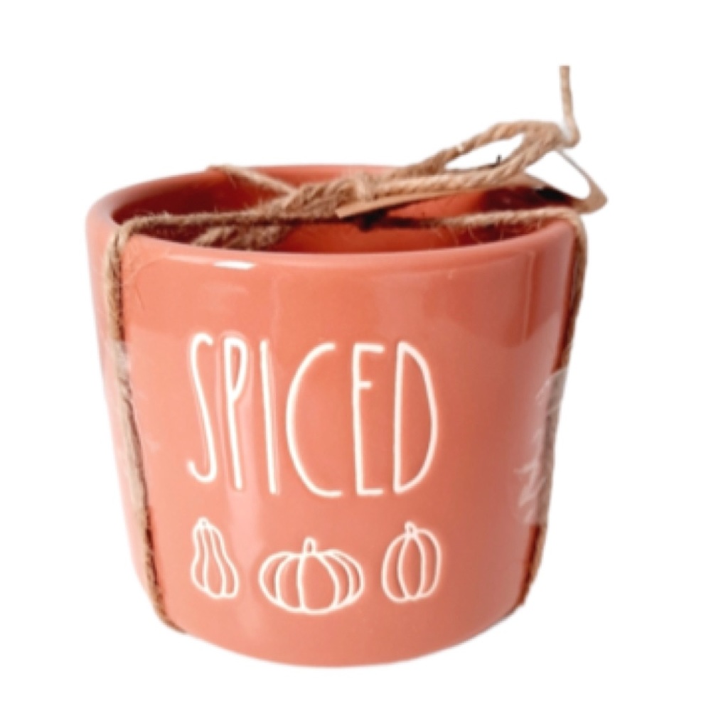 NEW Rae Dunn Fall “Spiced” Pumpkin Planter Pot 🍁